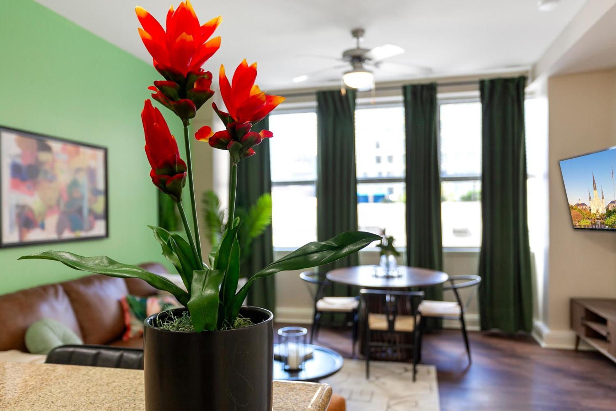Spacious Modern Near French Quarter Apartamento